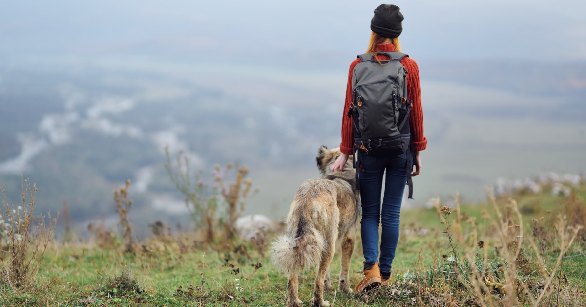 How to Prepare your Dog for a Hike